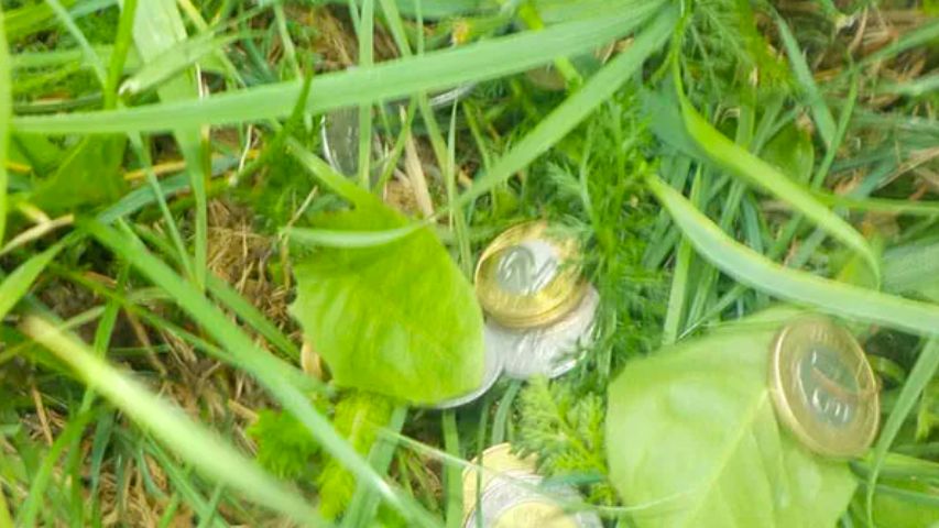 Warszawa. Straż miejska przeszkodziła w napadzie na samoobsługową myjnię samochodów na Białołęckiej. Bandyci uciekali, gubiąc swój łup (Straż Miejska Warszawa)