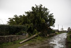 Potężny sztorm. W Belgii zginął 5-latek