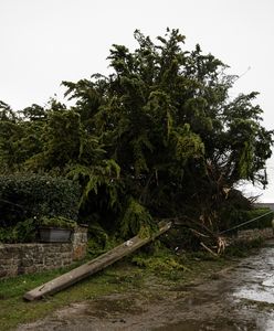 Potężny sztorm. W Belgii zginął 5-latek