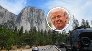 Donald Trump chce sprzedać kawałek parku narodowego