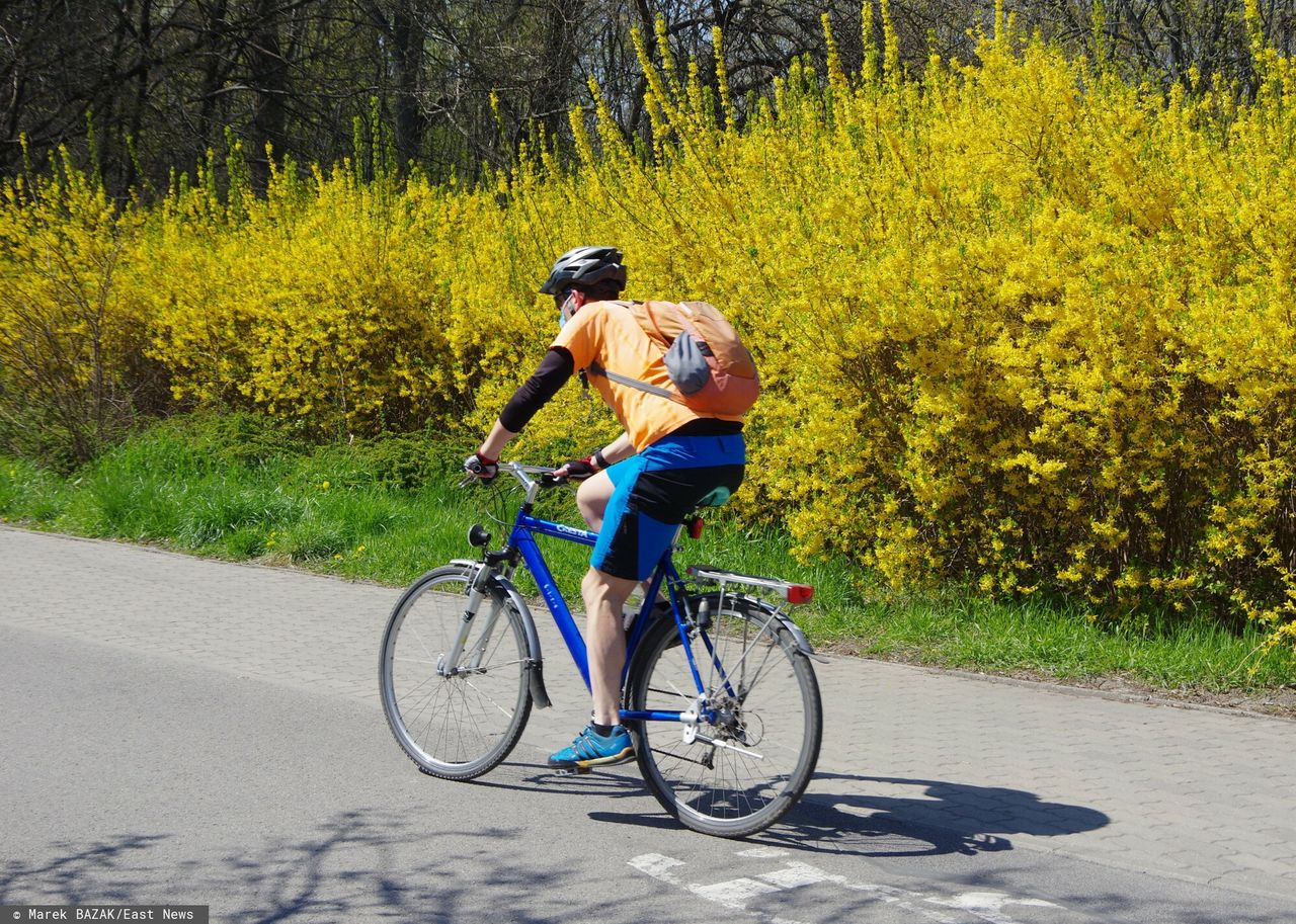 Warszawa. Rowerzysta przejechał po ośmiolatce