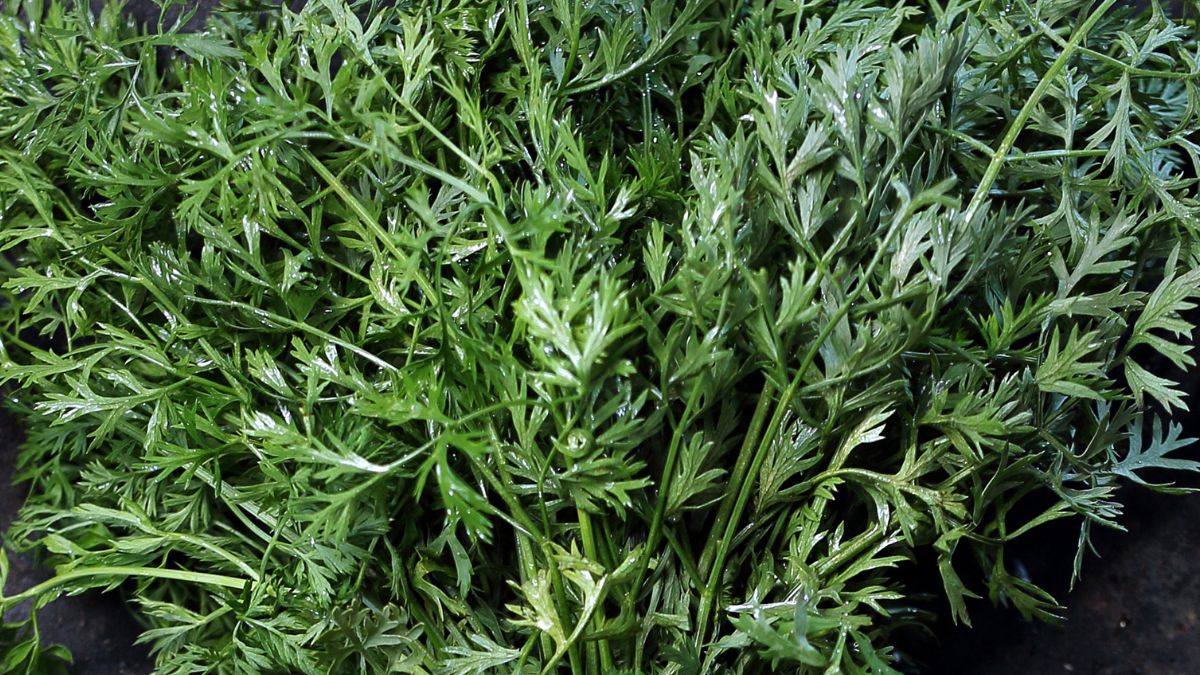 Natka marchewki będzie świetnym dodatkiem do sałatki 