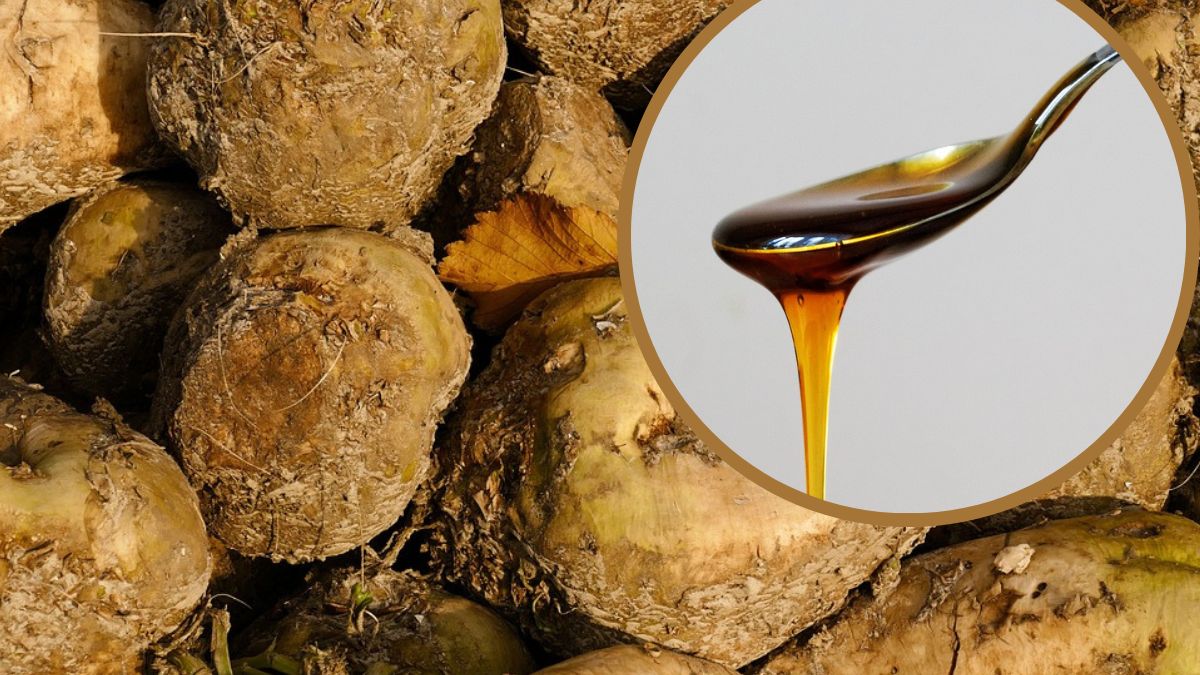 Fjut to nieco zapomniany produkt. Niegdyś stanowił słodki dodatek do potraw