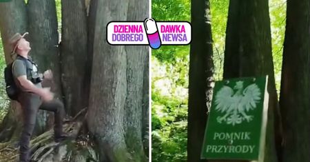 Hydra w polskim lesie. Unikatowy widok