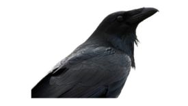 Najciekawsze reklamy polskich operatorów TOP 10 cz. 2 1