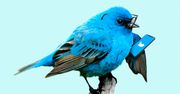 Twitter ostrzega: Android ma poważną dziurę. Zagrożone są prywatne wiadomości