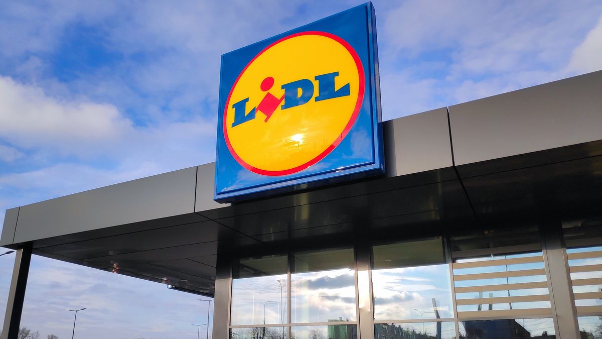 Promocje w Lidlu