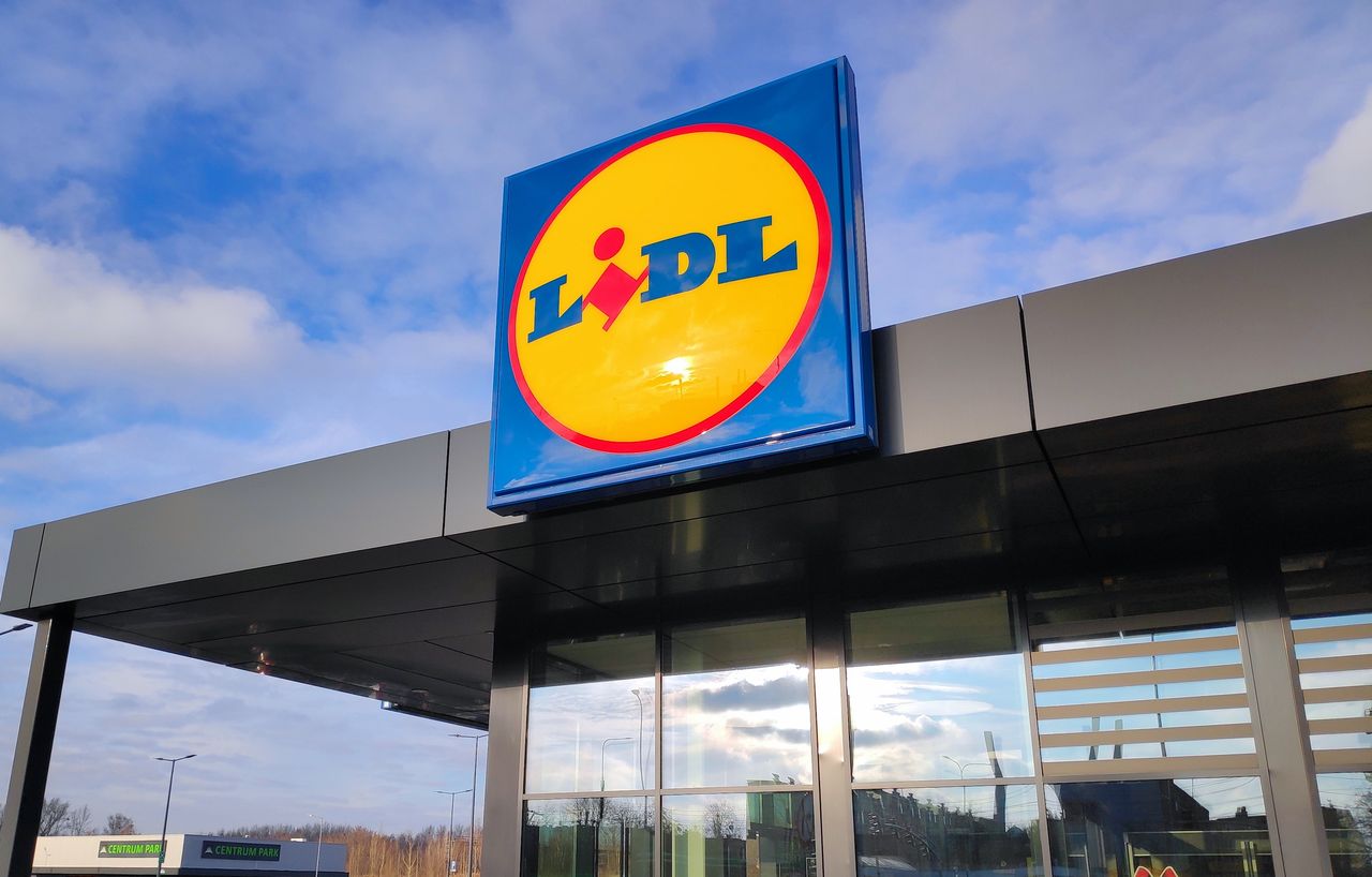 Schab za 7,99 zł/kg. Promocja w Lidlu tylko do 8 sierpnia