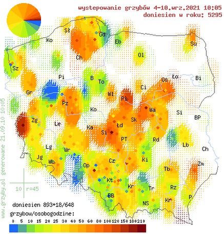Mapa występowania grzybów w Polsce pokazuje, gdzie najlepiej wybrać się na grzybobranie