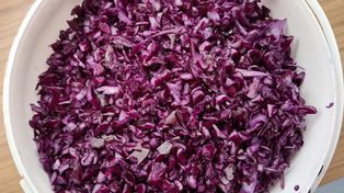 Regeneruje wątrobę, chroni przed cukrzycą. Pij szklankę dziennie przez dwa tygodnie