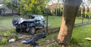 Kierujący oplem wjechał w drzewo oraz ogrodzenie. Dwie osoby ranne