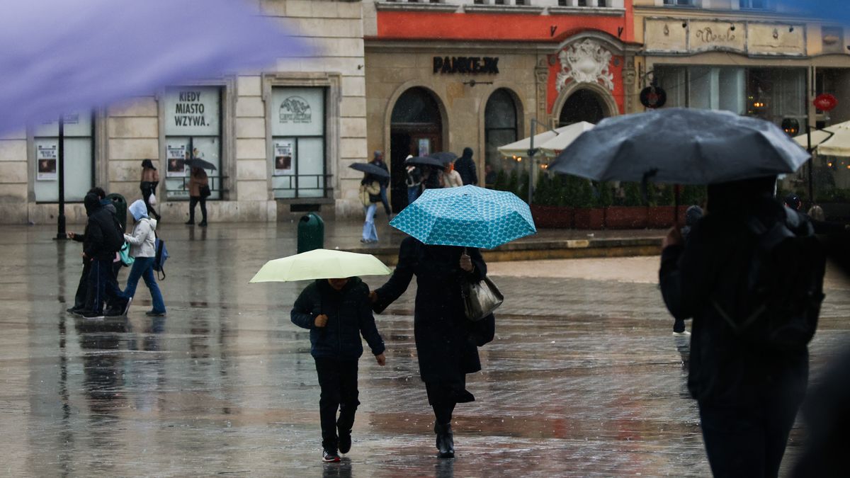 Sightseeing Krakow In The Rain
People wirh umbrellas are walking at the Main Square during a rainfall in Krakow, Poland on March 23rd, 2025.  (Photo by Beata Zawrzel/NurPhoto via Getty Images)
NurPhoto
beata zawrzel, main square, umbrellas, raining, european city, outdoor activity, public space, rainfall, boy, bad, rain protection, raincoats, european, nurphoto, polish, rainy, tourists, visiting, march 23rd, coats, cracow, urban, conditions, precipitation, group