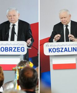 "Tradycji stało się zadość". Śmieją się z Kaczyńskiego