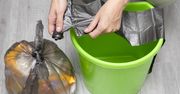 Śmieci w lesie w Grudziądzu z danymi osobowymi. Trwają poszukiwania