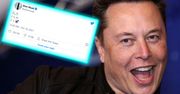 Elon Musk znów tweetuje. Jednym wpisem wysłał "na księżyc" kilka kryptowalut