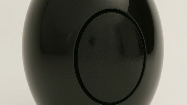 Jajo dinozaura z 105 000 dolarów 1