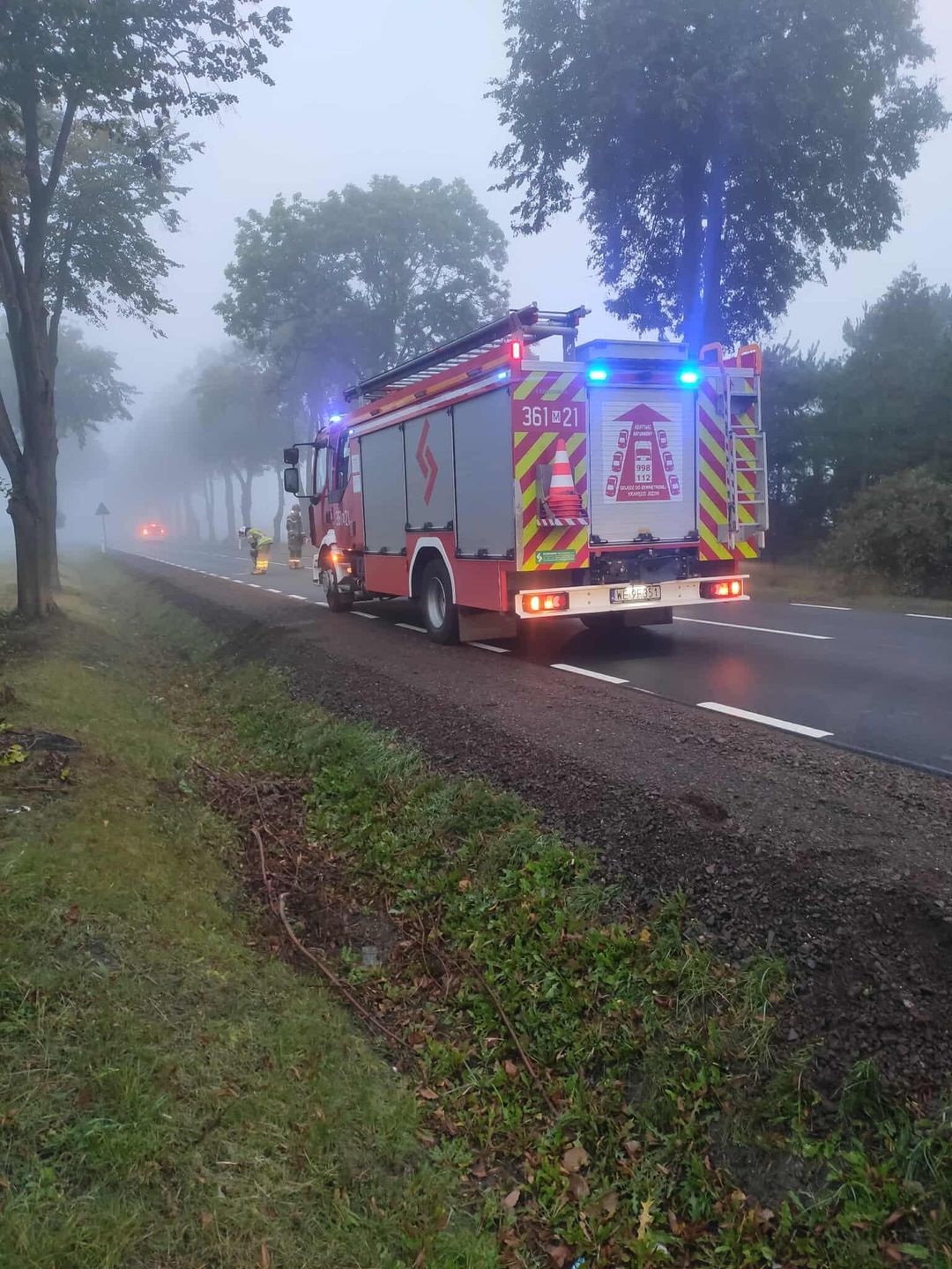 Interwencja druhów