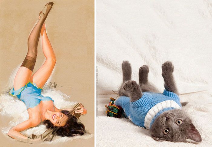 Koty, które pozują jak dziewczyny pin-up z dawnych amerykańskich plakatów 7