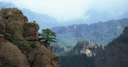 Korea Północna zdetonowała bombę przed laty. Ziemia wciąż drży po teście