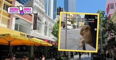 Pluszak czeka na rodzinę. Jego historia rozczula Australijczyków