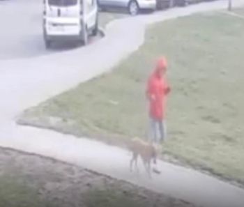 Wyszedł z psem. Rozpoznajesz tego mężczyznę?