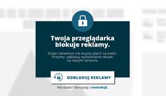 Użytkownicy adblocków bez dostępu do treści na Business Insider Polska i Plejada.pl