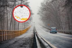 IMGW ostrzega przed gęstą mgłą. W tych rejonach są alerty