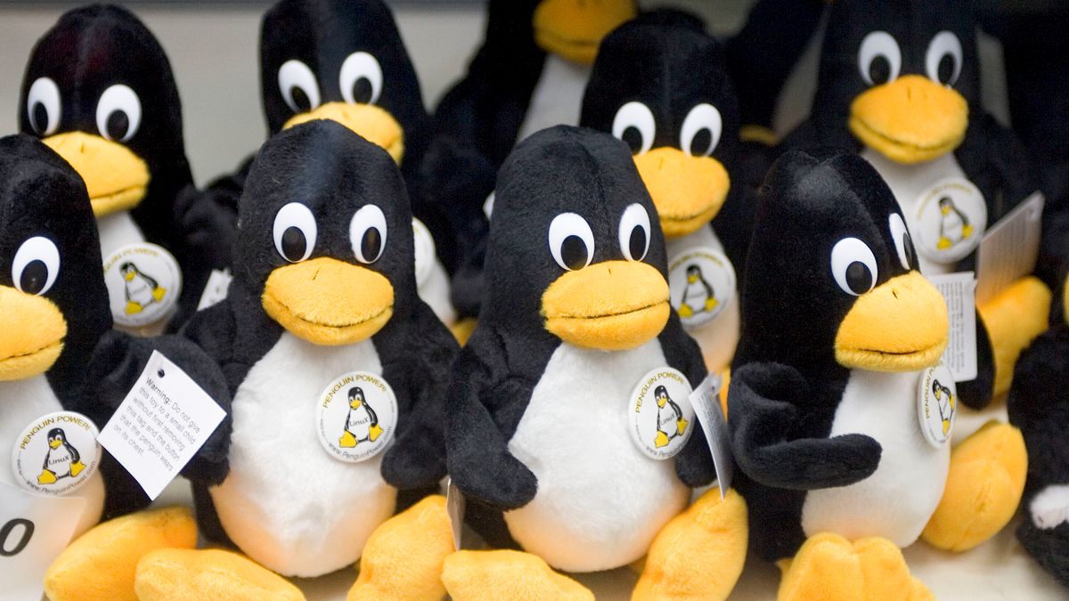 Linux 5.10 jest już dostępny w wersji RC5, fot. Getty Images