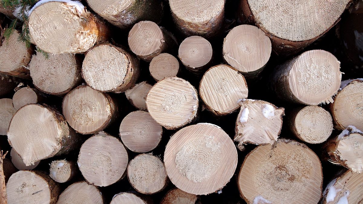 Duży popy na drzewny surowiec winduje ceny 