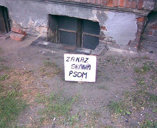 Obraz