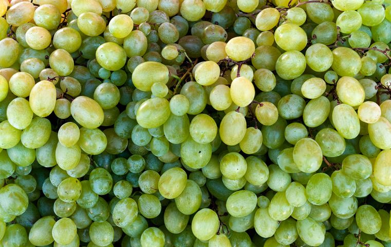 Procyjanidyny występują w wielu owocach np. winogronach.