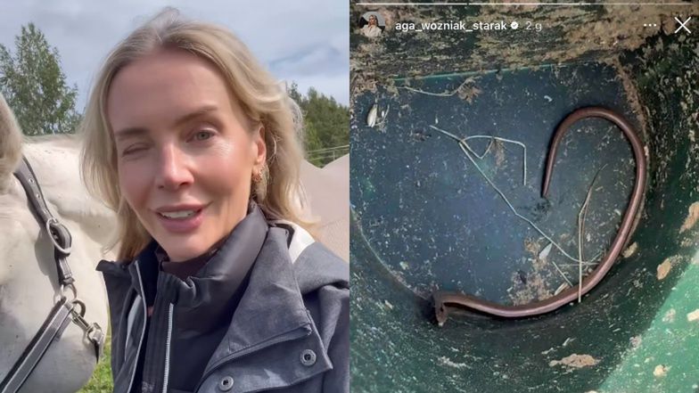 Agnieszka Woźniak-Starak znalazła węża 