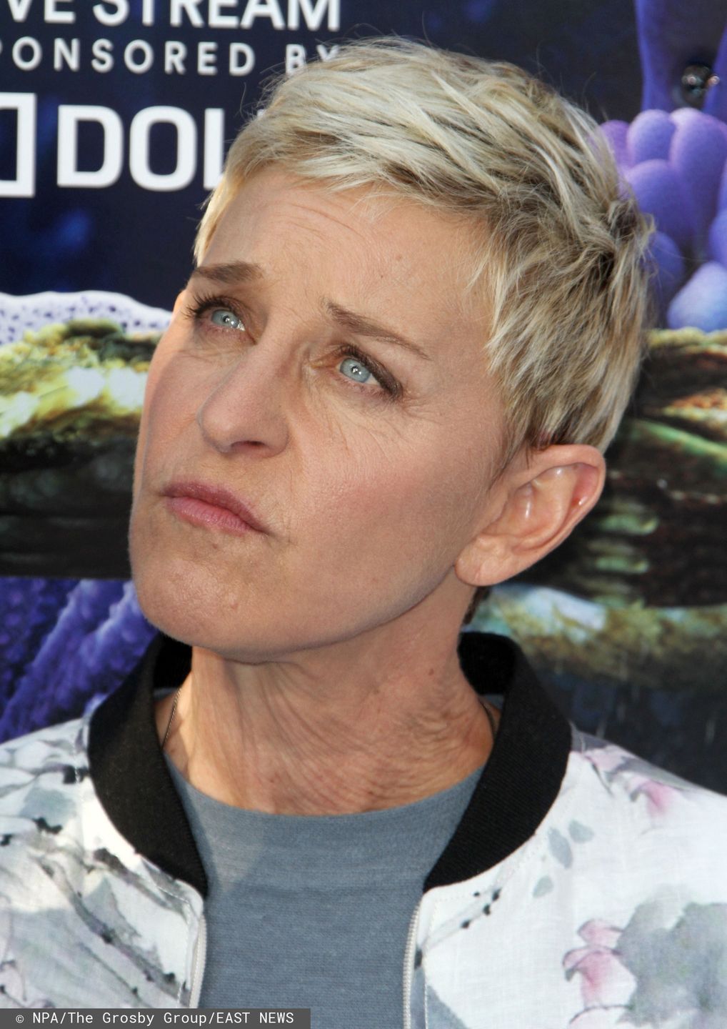 Na plan programu Ellen DeGeneres weszła inspekcja pracy