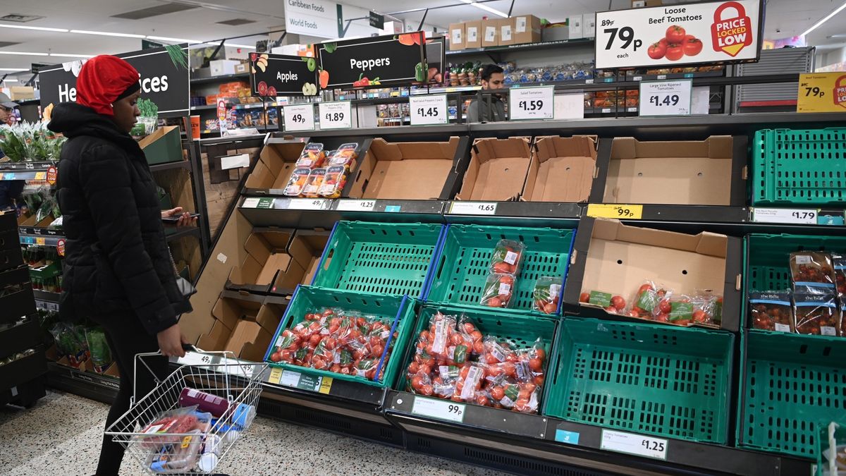 Dział z warzywami w sklepie sieci Morrisons w Londynie, środa 22 lutego 2023 roku