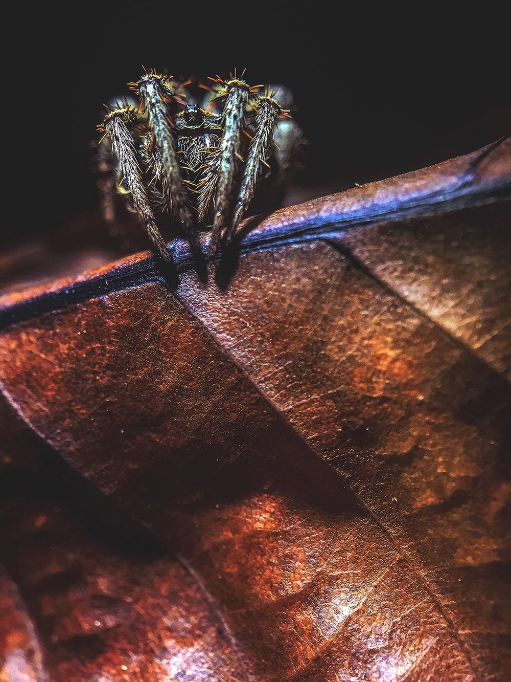 Zwycięzcy Mobile Photography Awards 2016 udowadniają, że do zrobienia dobrej fotografii wystarczy smartfon 4