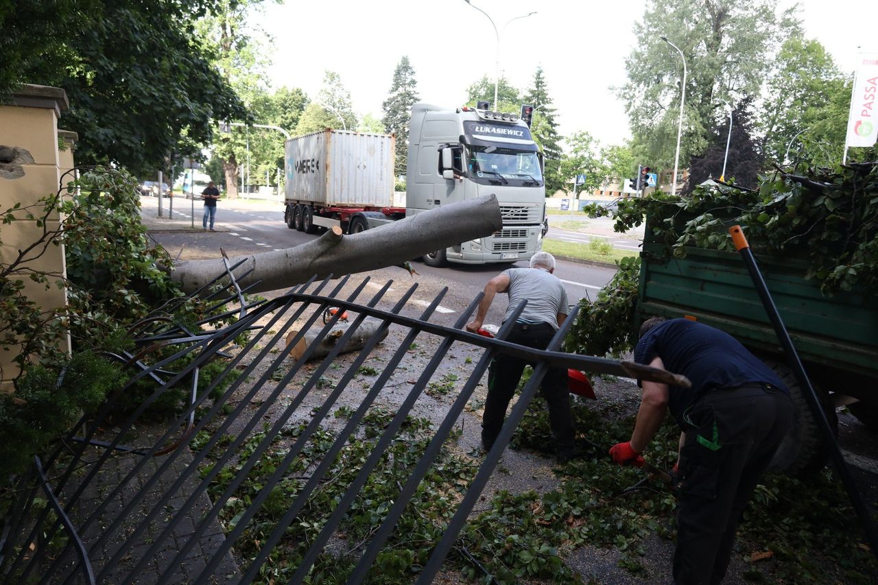 Burza spustoszyła park zamkowy w Łańcucie. Teren nieczynny dla zwiedzających