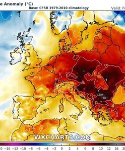 Istne przebudzenie wiosny w prognozach. I to dosłownie