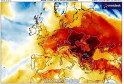 Istne przebudzenie wiosny w prognozach. I to dosłownie