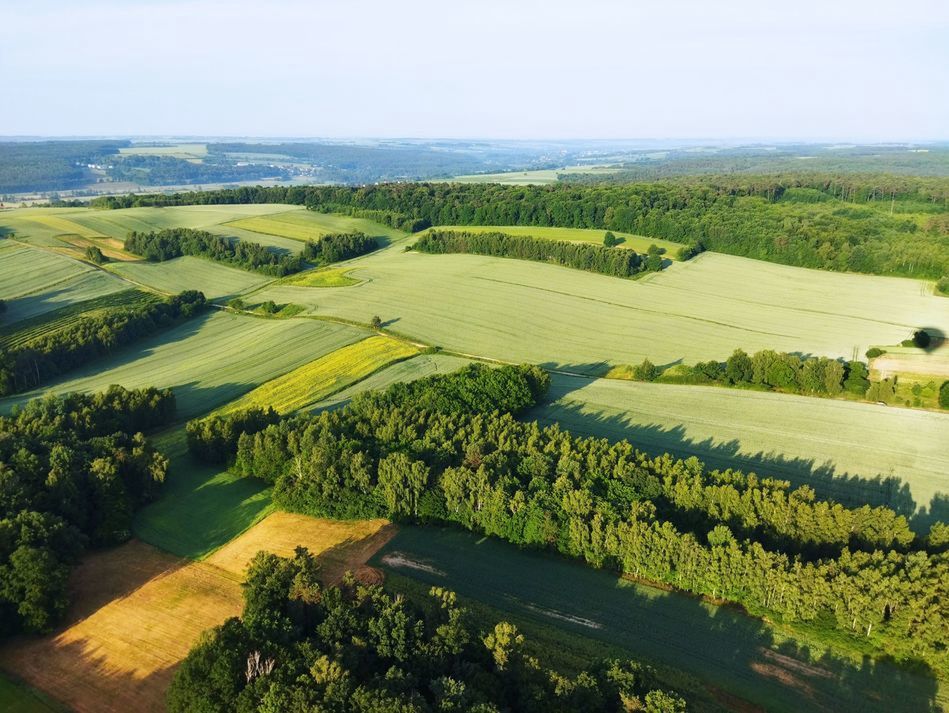 Kraszczady to nieoficjalna nazwa miniregionu na terenie Lubelszczyzny