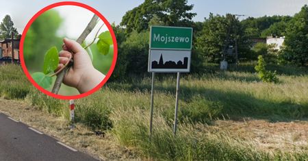Wypędzali demony z córeczki gałęziami. Wiemy, co dzieje się z rodzicami