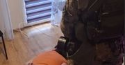 Zamordowali dziadka dla mieszkania? Użyli tłuczka do mięsa