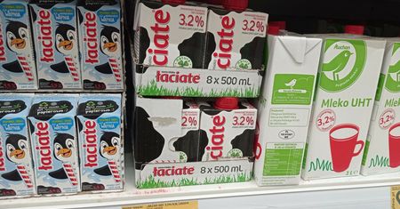 Chińczycy kupują polskie mleko. Łaciate hitem na chińskiej platformie