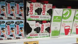 Chińczycy kupują polskie mleko. Łaciate hitem na chińskiej platformie