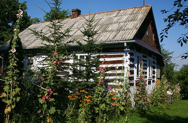 Obraz