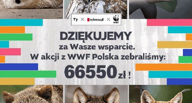 „Gazeta Wyborcza” w ramach akcji "PrenumeRATUJ" zebrała 66 550 zł dla WWF