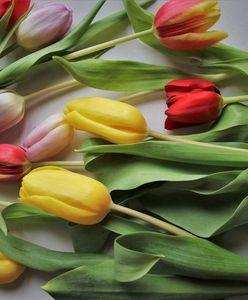 Życzenia na Dzień Kobiet. Nie zapomnij, jakie święto jest 8 marca