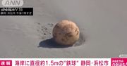Tajemniczy obiekt na plaży w Japonii. Został wyrzucony przez fale
