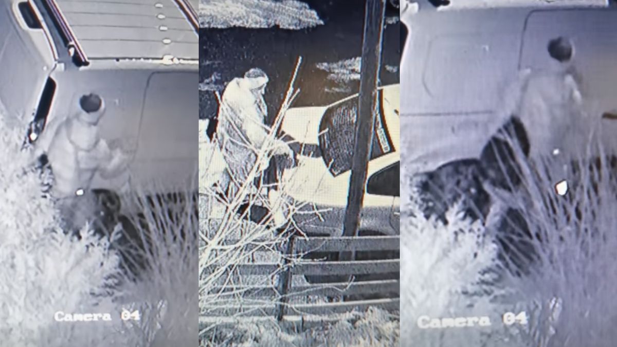 Seniorka rysuje samochody, które zastawiają chodnik