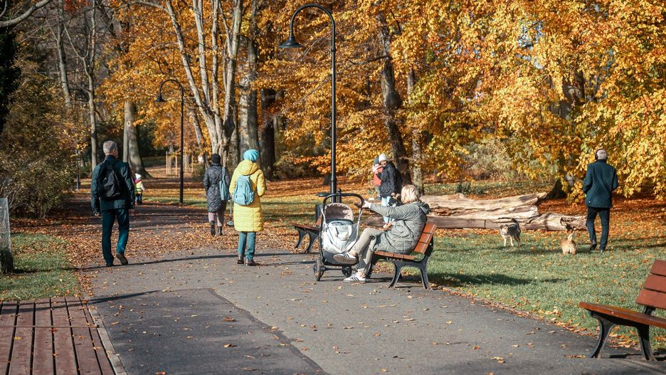 Złota Jesień w Parku Sołackim