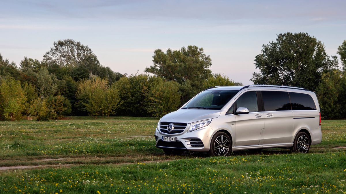 Zdjęcie ilustracyjne do artykułu